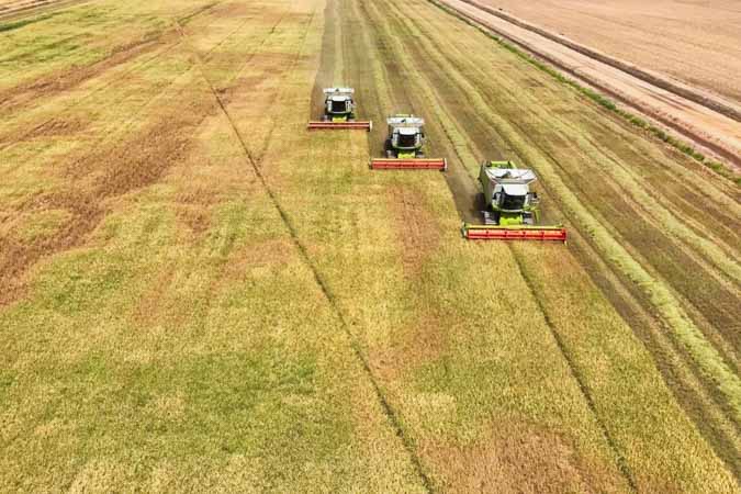 L’objectif de 30 000 t de paddy récolté est atteint.
 